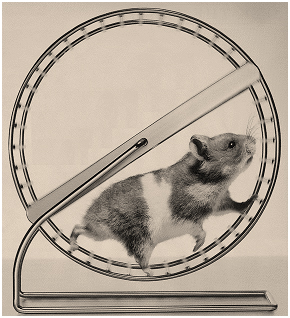 Hamster-Wheel01